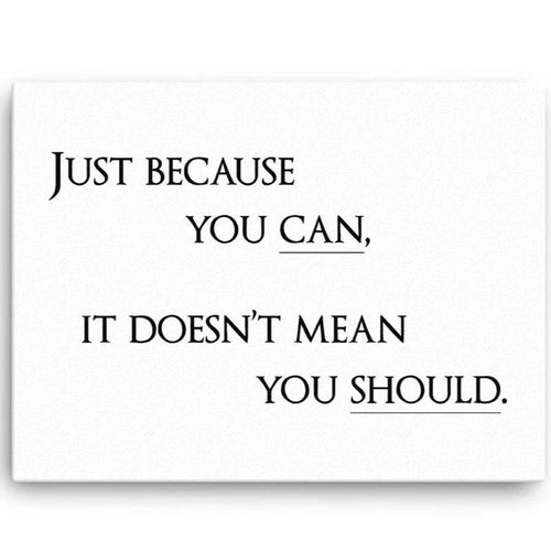 Just Because You Can, It Dosen't Mean You Should Canvas Wall Art